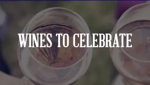 Noble Estates Wines and Spirits Magento Project Wines to Celebrate