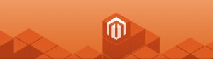 Magento development services