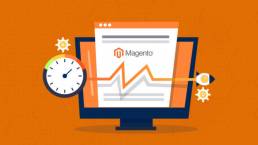 Magento Performance optimisation service