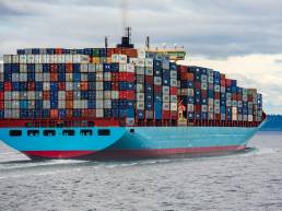 Magento dev with docker