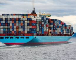 Magento dev with docker