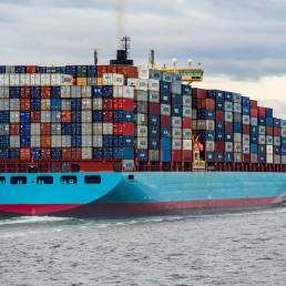 Magento dev with docker